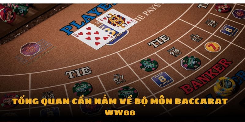 Giới thiệu thông tin tổng quan cần nắm về baccarat ww88